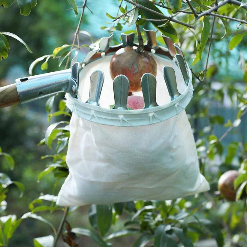 PickFruit™ Herramienta recolectora de frutas
