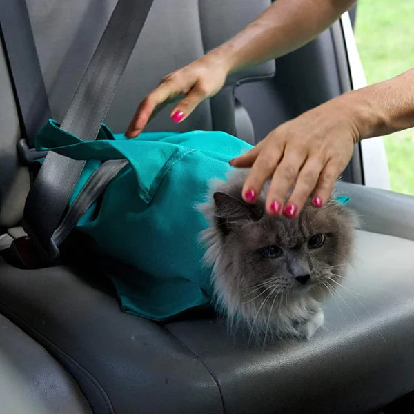 KittBag™ Bolsa de transporte para gatos