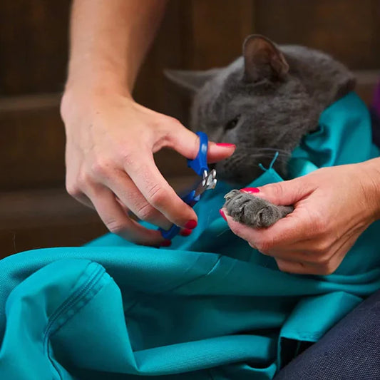 Compre uno y obtenga otro GRATIS: KittBag Bolsa de transporte para gatos